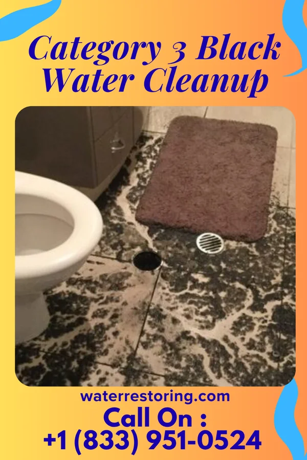 Category 3 Black Water Cleanup in Jonesborough, TN