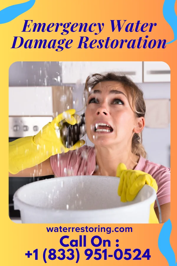 Emergency Water Damage Restoration in Jonesborough, TN