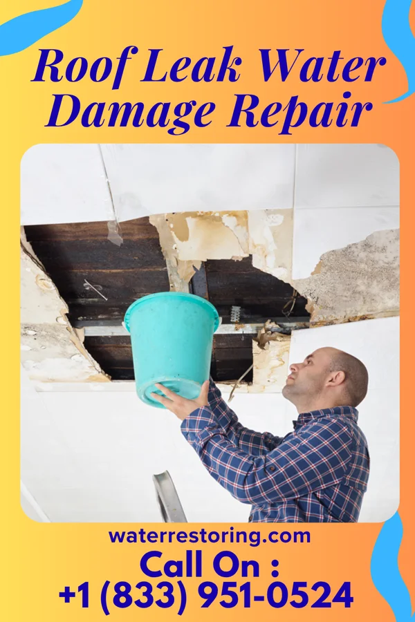 Roof Leak Water Damage Repair in Jonesborough, TN