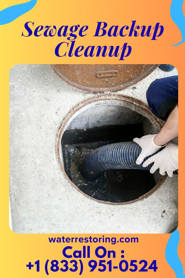 Sewage Backup Cleanup in Jonesborough, TN