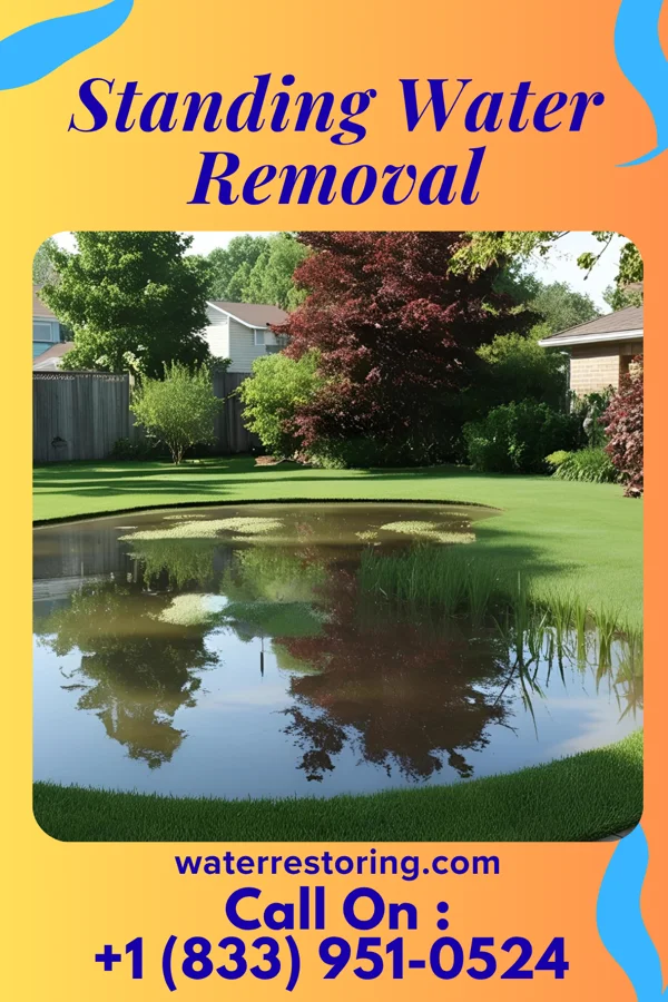Standing Water Removal in Jonesborough, TN
